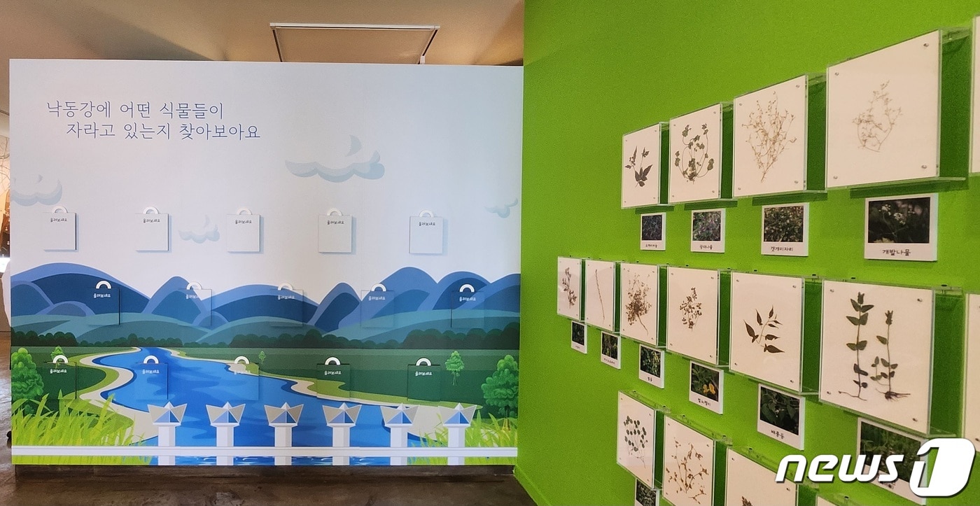  사상생활사박물관에서 열리고 있는 생태전시 '낙동강 우리가 지켜줄게' (부산 사상구 제공)