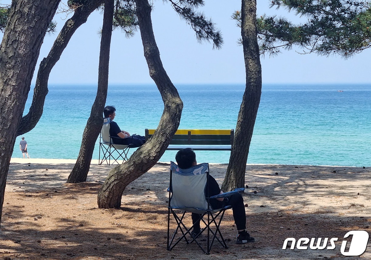 기사 이해를 돕기 위한 강원 강릉시 송정해변 자료 사진으로 기사 내용과 직접 관련 없음. ⓒ 뉴스1