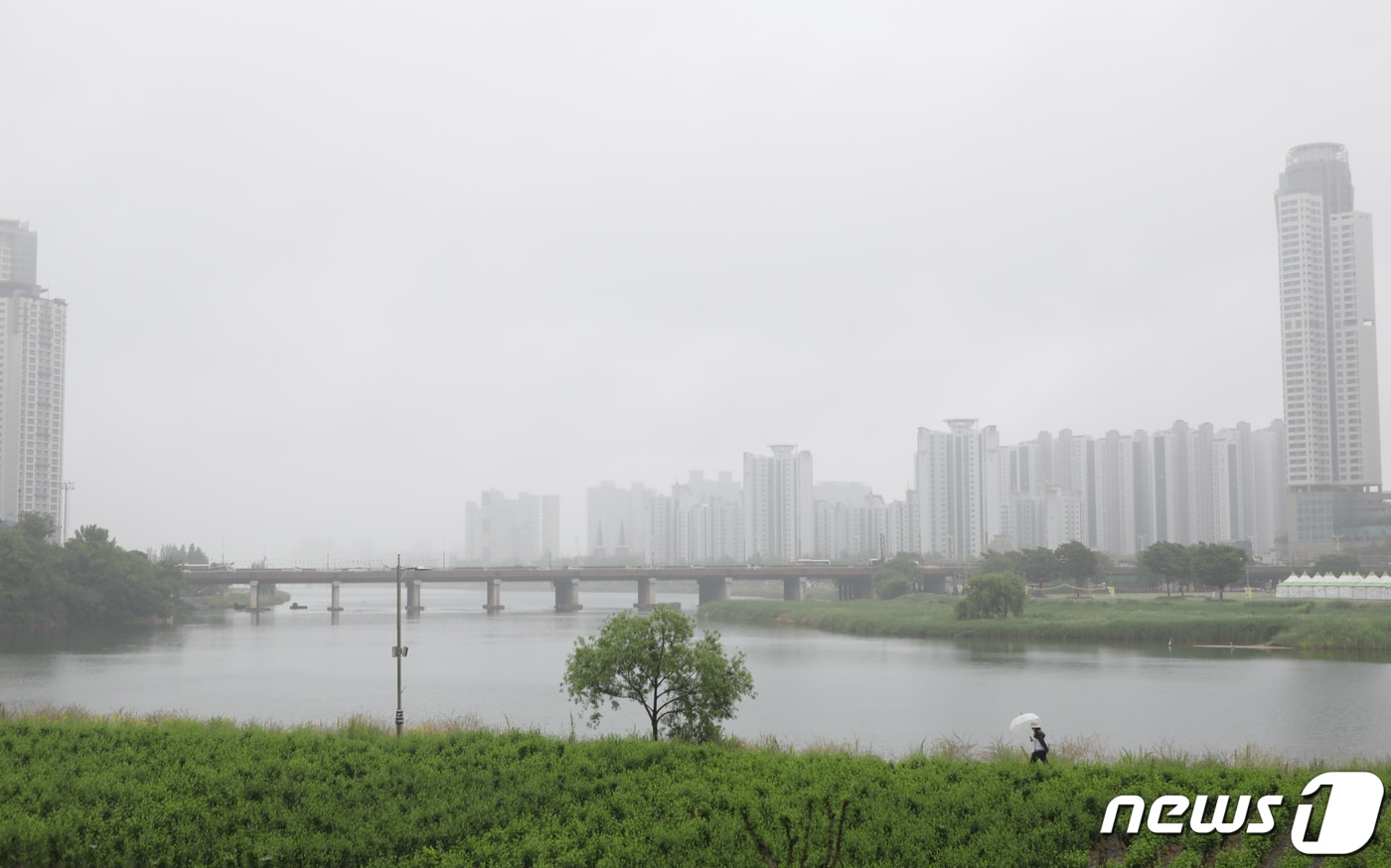 울산 태화교. 2023.5.19/뉴스1 ⓒ News1 김지혜 기자