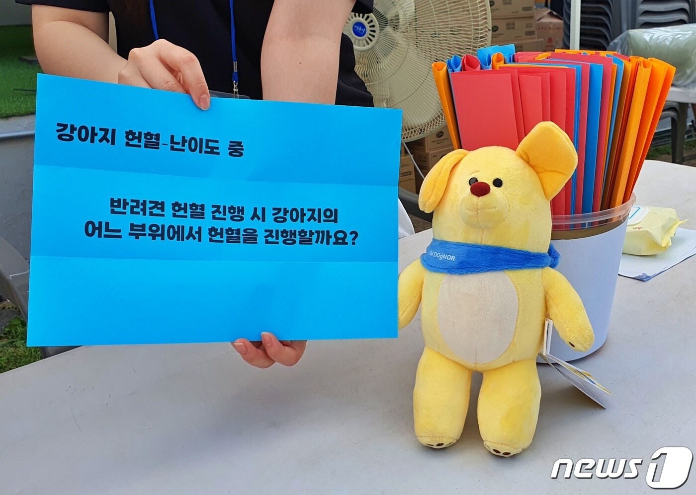 광진구와 건국대는 20일 서울 어린이회관 서편운동장에서 반려동물과 함께하는 축제인 '반함 축제'를 진행했다. ⓒ 뉴스1 최서윤 기자