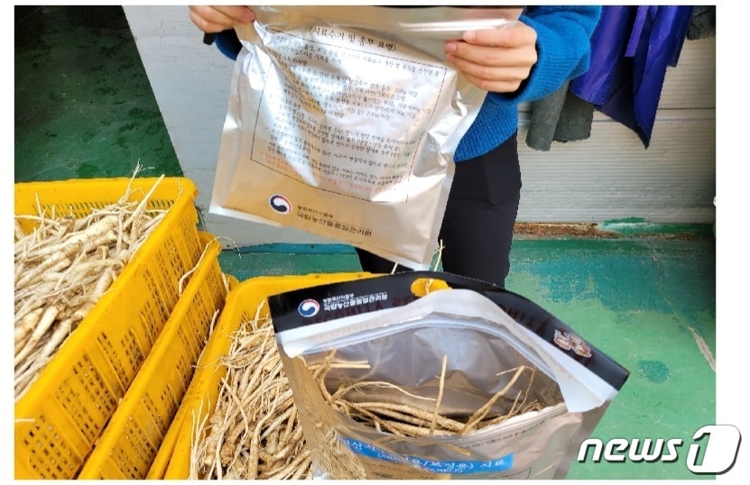 도라지 원산지 검정용 시료 채취 장면(국립농산물품질관리원 경북지원 제공)