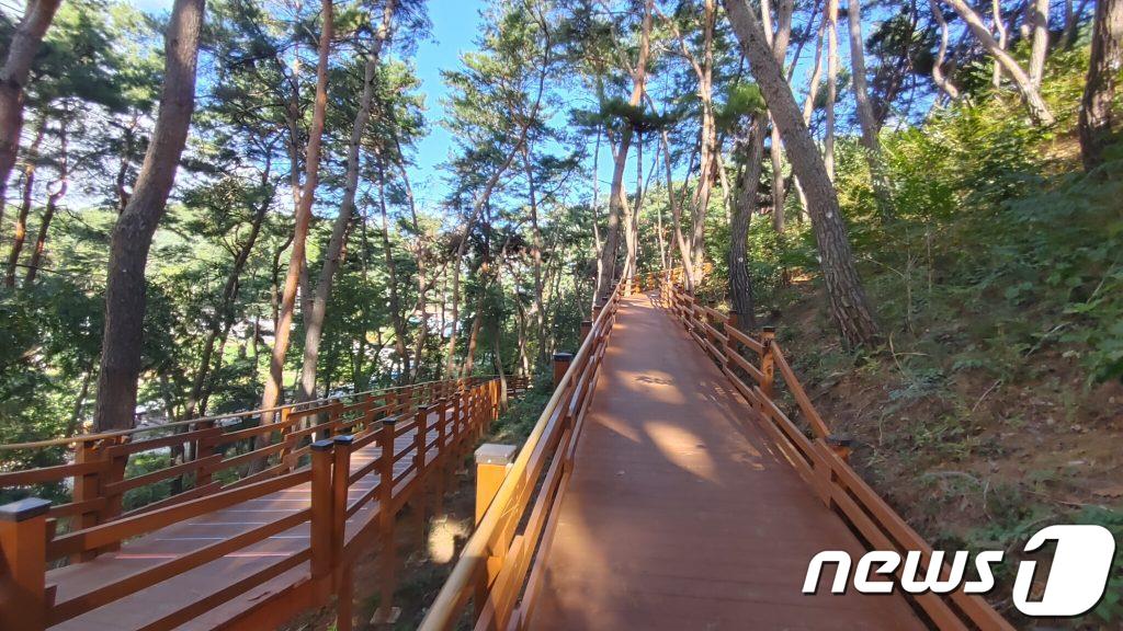 홍천군 무궁화테마파크 일원에 조성된 ‘무장애나눔길’.(홍천군 제공) 2023.5.25/뉴스1