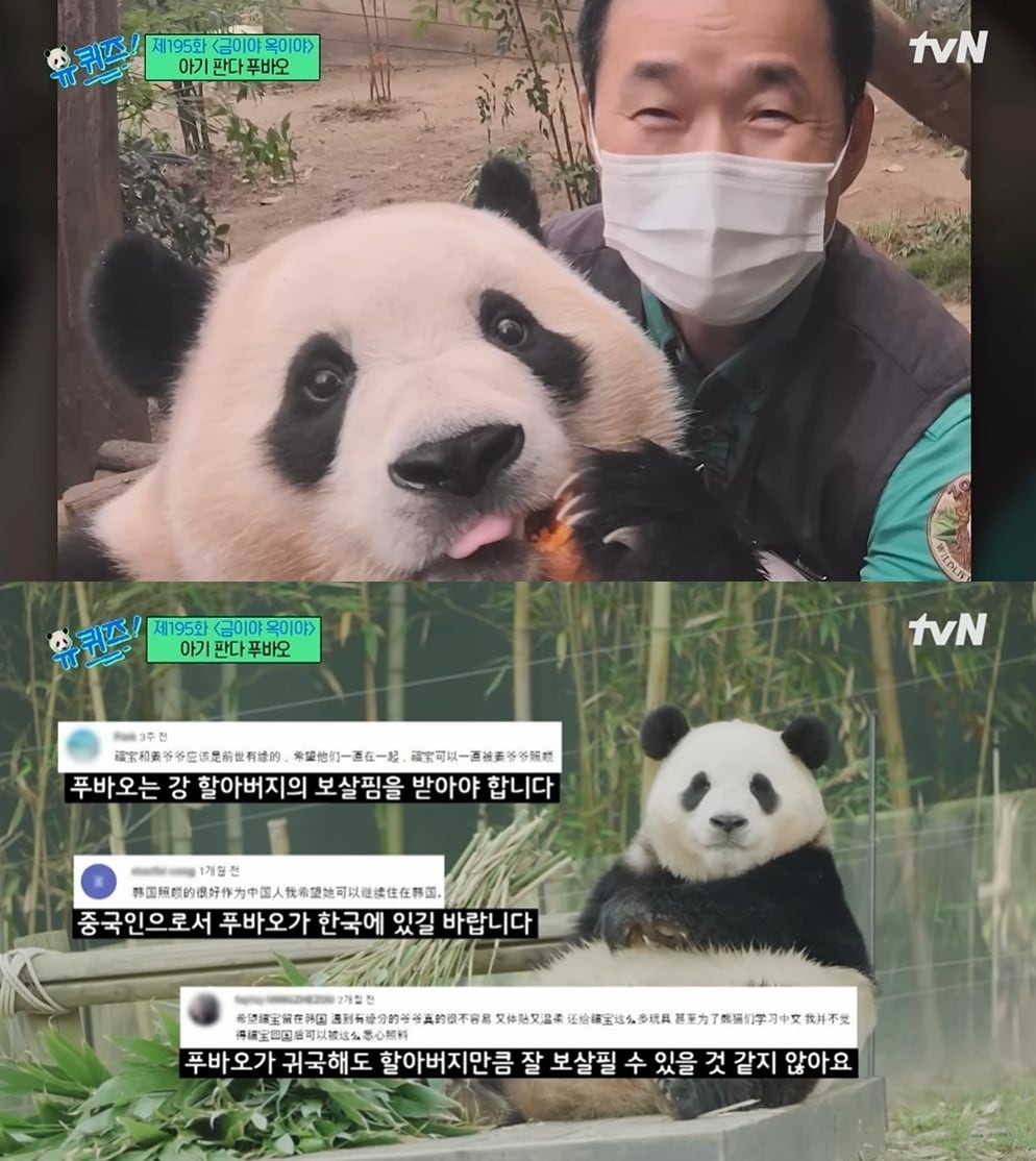 (tvN '유 퀴즈 온 더 블럭')