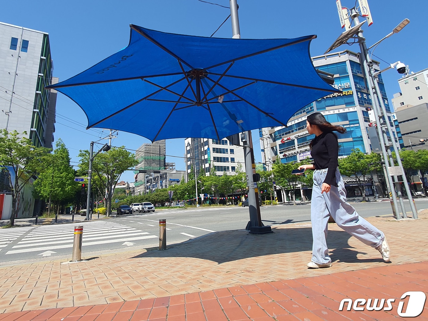 9일 경북 포항시청 광장 횡단보도 앞에 폭염 예방을 위한 대형 우산형 그늘막이 설치돼 있다.2023.5.9/뉴스1 ⓒ News1 최창호 기자
