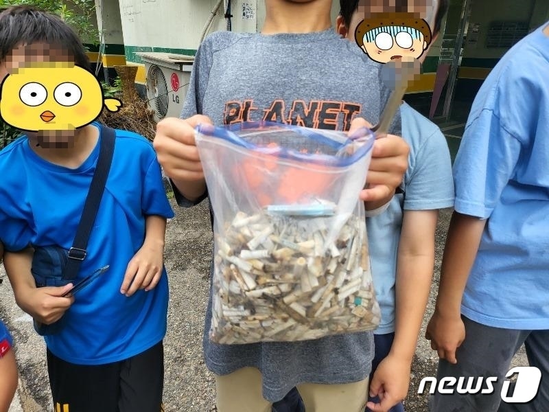 ('보배드림' 갈무리)