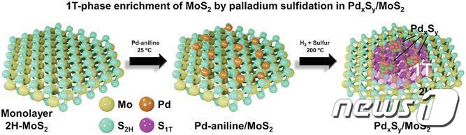 팔라듐 금속 삽입을 통한 단일 원자층 이황화몰리브덴의 구조적 변환 도식도.&#40;인하대 제공&#41;/뉴스1