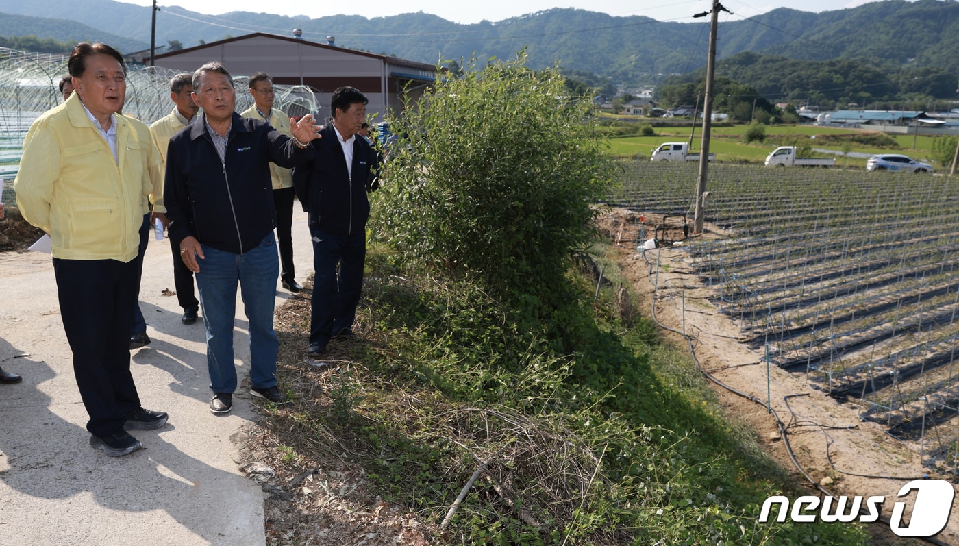 김영환 충북지사가 13일 우박 피해를 입은 제천시 금성면 오이 농장을 찾아 현장을 살펴보고 있다.&#40;충북도 제공&#41;