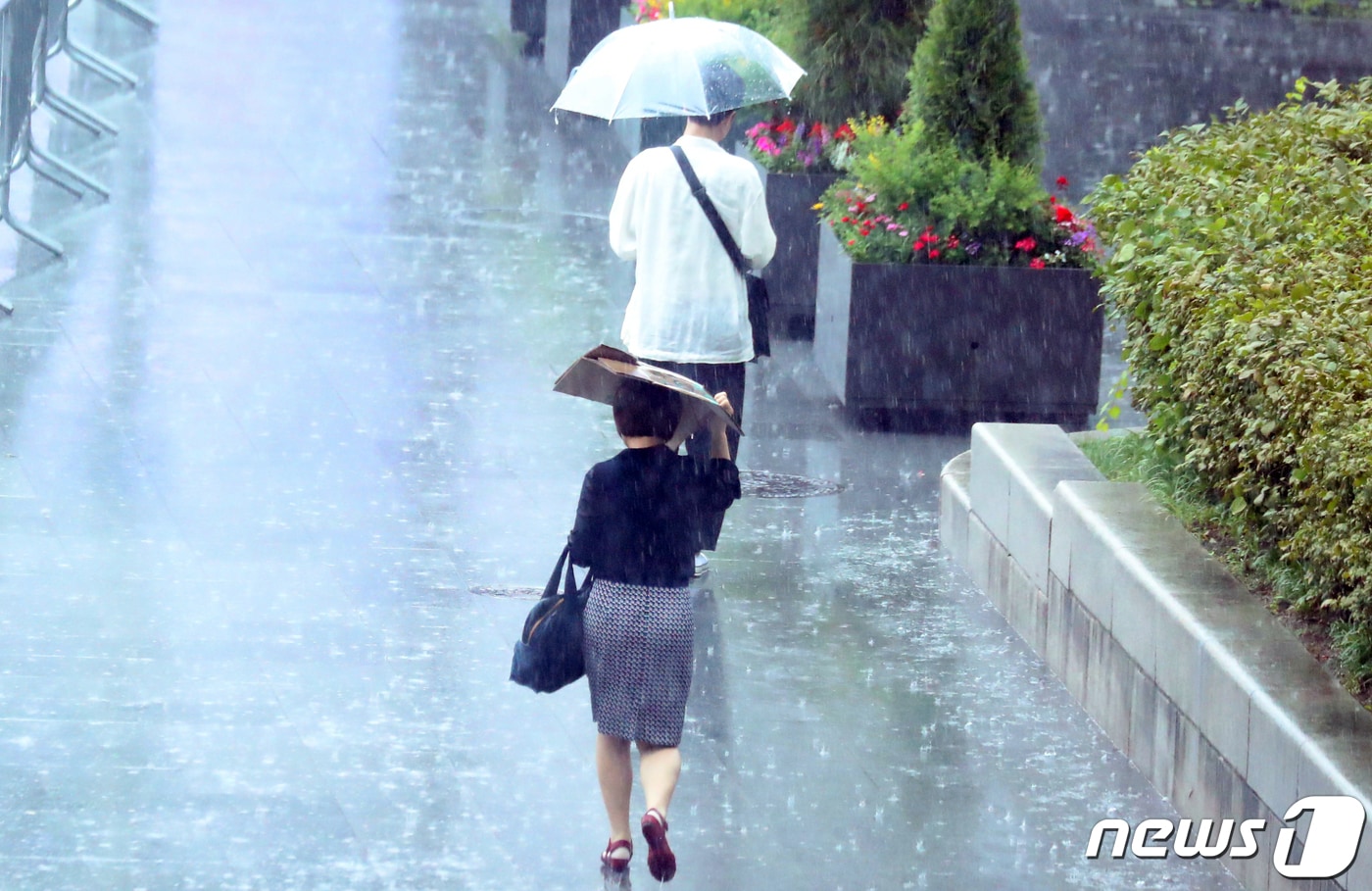 갑작스런 소나기.(뉴스1 DB)