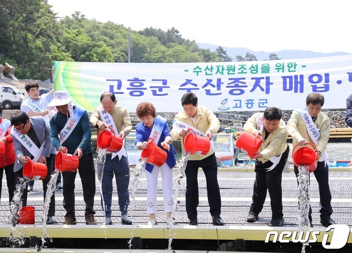 14일  고흥군이 수산자원 회복과 어업인들의 소득증대를 위해 금산면 신촌 해역에 &#39;돌돔&#39; 종자 약 8만 마리를 방류했다&#40;고흥군 제공&#41;2023.6.14/뉴스1