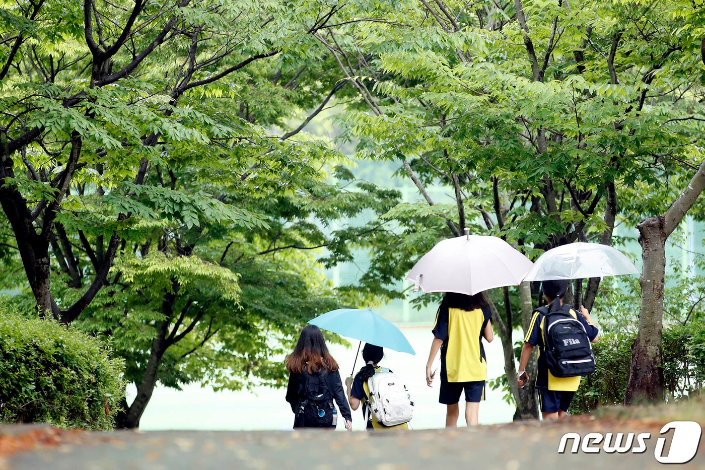 여름비.(뉴스1 DB)ⓒ News1 이수민 기자