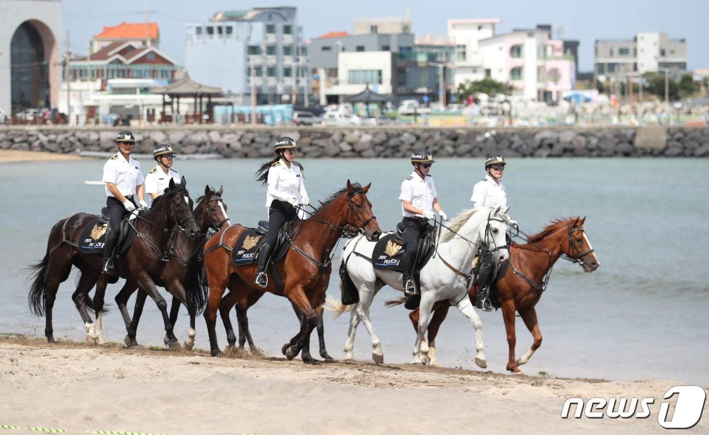 제주도자치경찰단 기마대가 24일 개장한 이호테우해수욕장에서 순찰활동을 전개하고 있다. 2023.6.24/뉴스1 ⓒ News1 강승남 기자