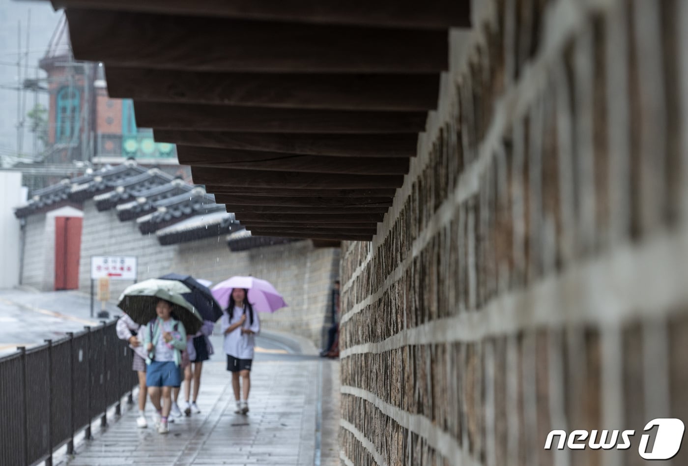 서울 중구 덕수궁 돌담길. 2023.6.26/뉴스1 ⓒ News1 이재명 기자