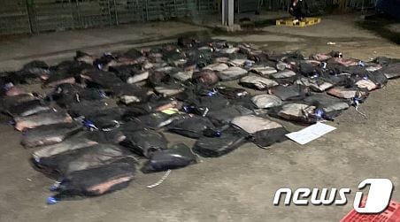 경북 포항해양경찰서(서장 성대훈)는 2일 오후 10시쯤 동해상에서 불법 포획한 고래를 해체한 후 항구로 들어오던 A호(4.95톤)선장 등 3명을 현행범으로 체포했다.(포항해양경찰서 제공)2023.6.3/뉴스1 