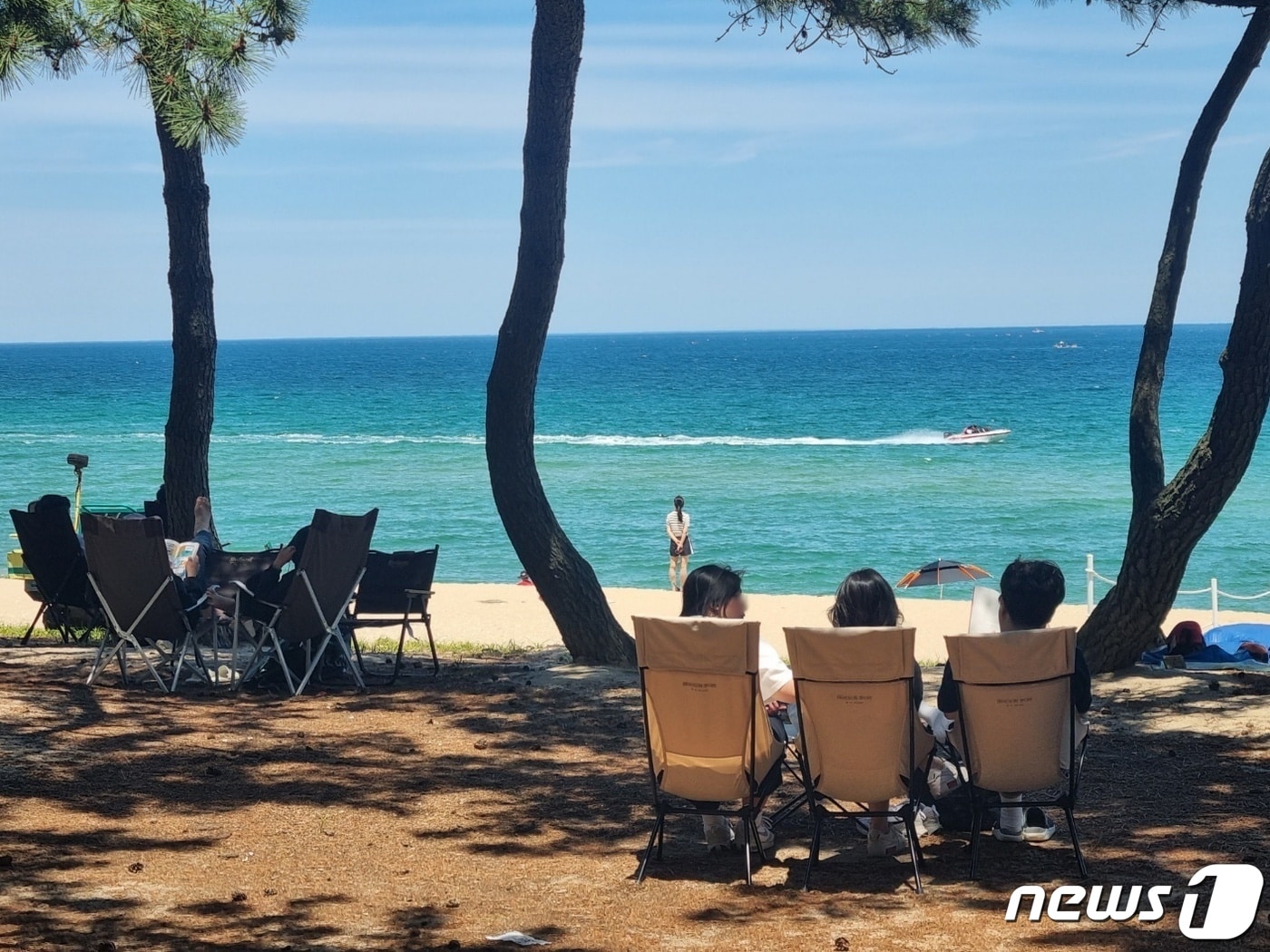 강원 강릉 송정해변을 찾은 관광객들이 솔밭 그늘에서 무더위를 날리고 있다.(뉴스1 DB) ⓒ News1 윤왕근 기자