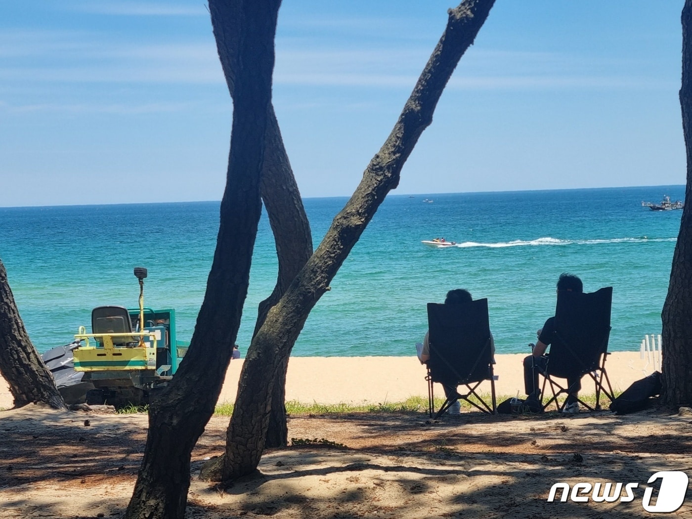 강원 강릉 송정해변을 찾은 관광객들이 솔밭 그늘에서 무더위를 날리고 있다. (뉴스1 DB)ⓒ News1 윤왕근 기자