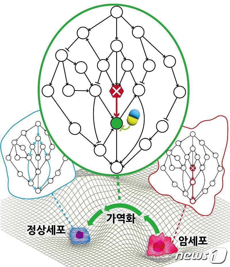 연구결과 모식도.&#40;KAIST 제공&#41;/뉴스1