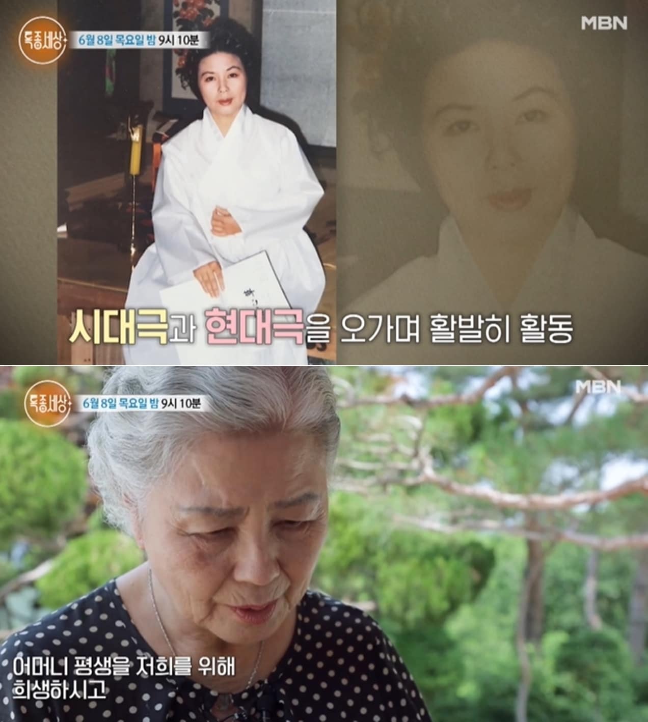 MBN '특종세상' 방송 화면 갈무리