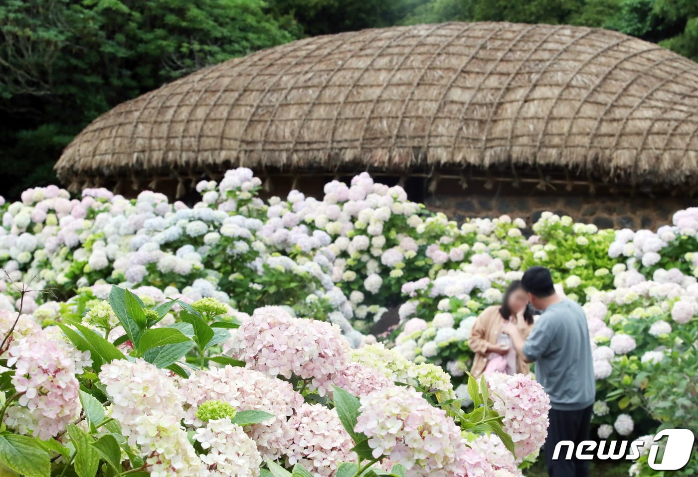 (사진은 기사 내용과 무관함) / 뉴스1 ⓒ News1