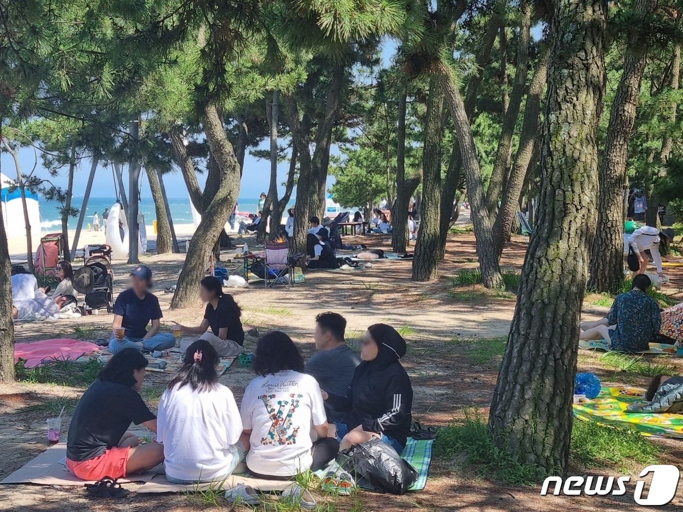 기사 이해를 돕기 위한 과거 강원 강릉 경포해수욕장 자료 사진으로 기사 내용과 직접 관련 없음. ⓒ News1