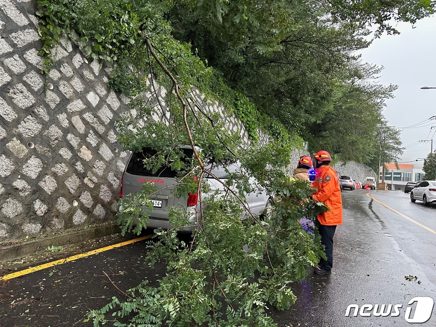 14일 오전 6시30분 사하구 감천동에서는 강풍과 폭우로 부러진 나무가 차량을 덮쳐 소방이 안전조치를 하고 있다.&#40;부산소방재난본부 제공&#41;