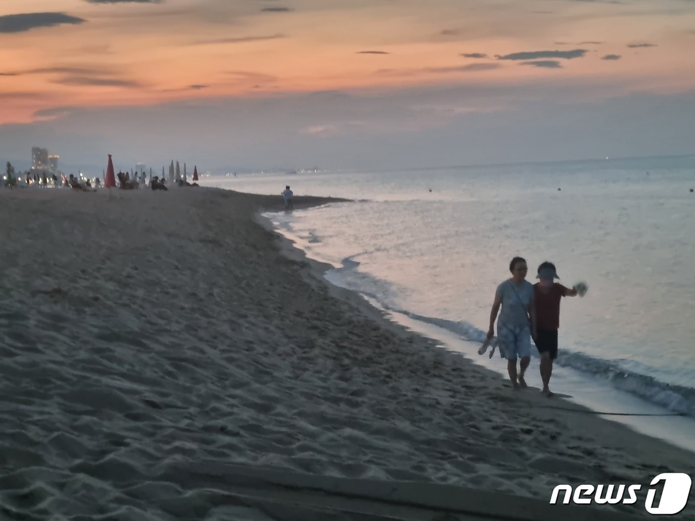 열대야 식히는 강릉시민 자료사진.(뉴스1 DB)ⓒ News1 윤왕근 기자