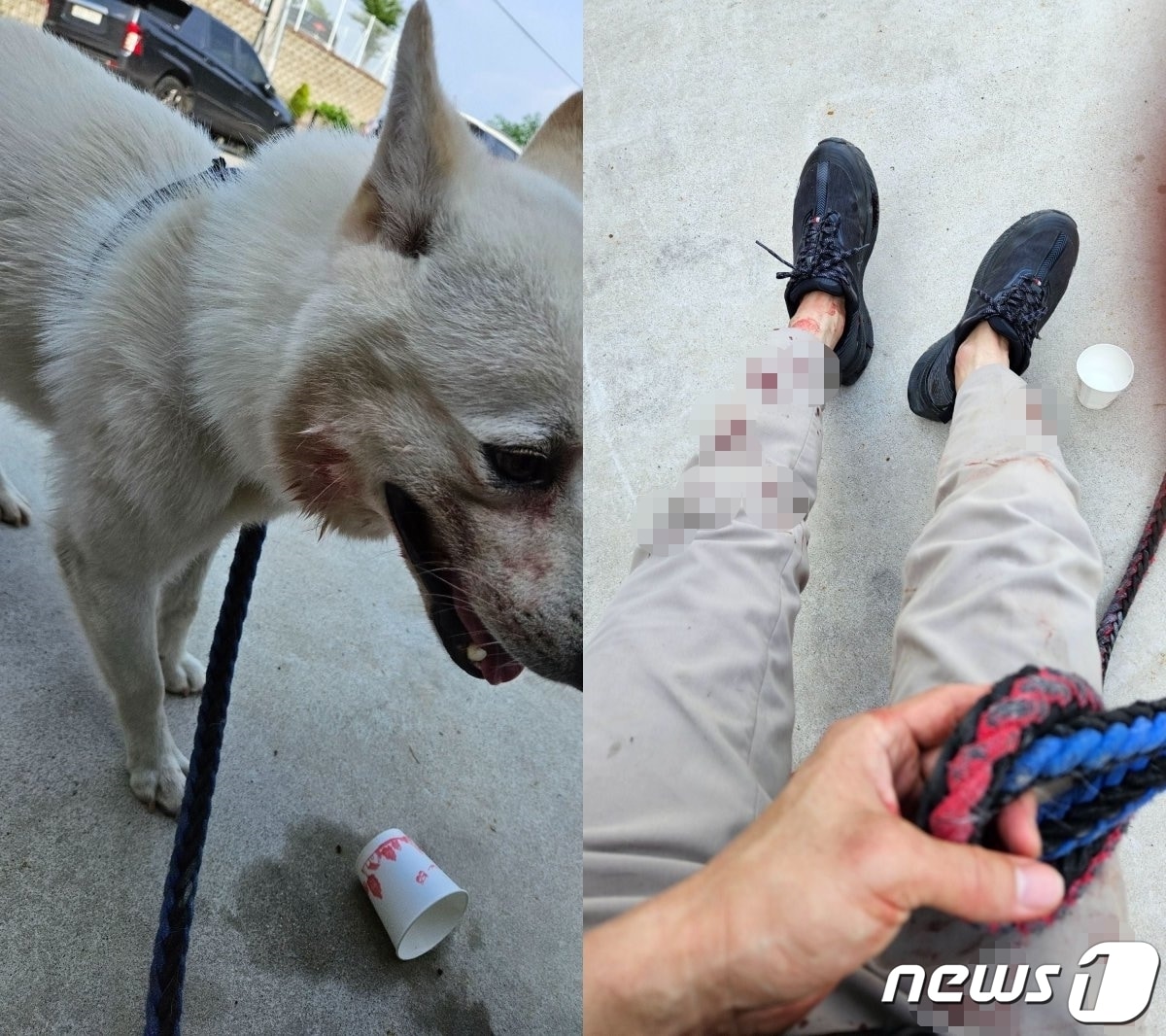 (온라인 커뮤니티 갈무리)