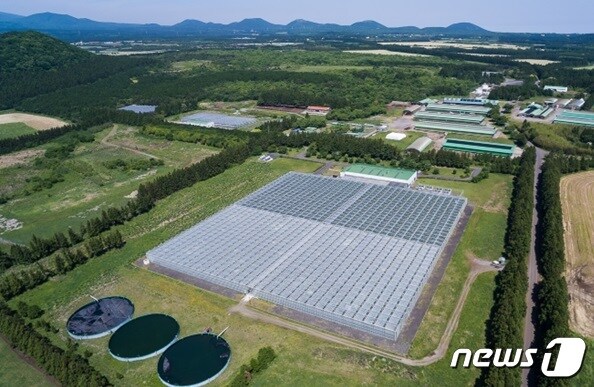 한국공항, 제주 제동목장에 에너지 완전자립 스마트팜 구축 - 뉴스 썸네일 이미지