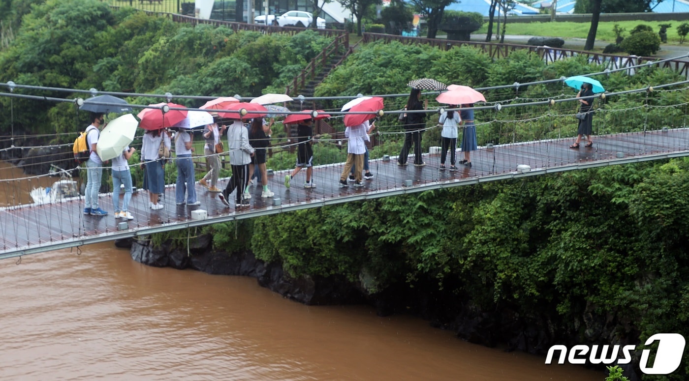 비 내리는 제주(자료사진)/뉴스1