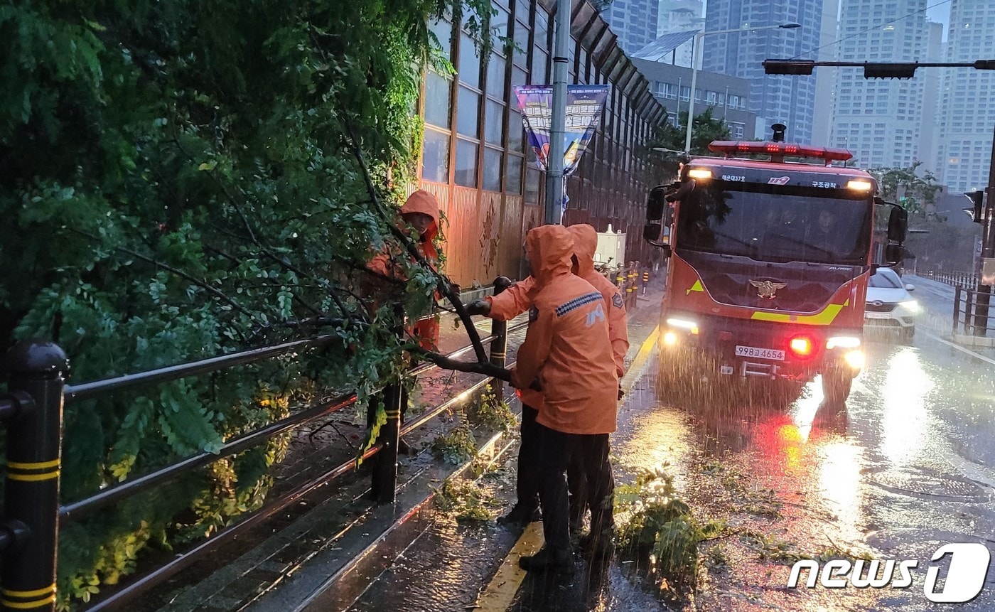 태풍 카눈&#39;의 남해안 상륙이 예정된 10일 오전 5시37분께 부산 해운대구 우동 한 도로에 나무가 쓰러져 소방대원들이 치우고 있다. &#40;부산소방재난본부 제공&#41; ⓒ News1 노경민 기자