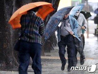 제6호 태풍 카눈의 직접 영향권에 들어선 10일 오전 서울 종로에서 시민이 우산으로 비바람을 막고 있다. 2023.8.10/뉴스1 ⓒ News1 장수영 기자
