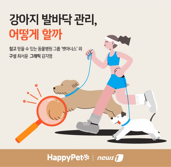 펫카드 발바닥