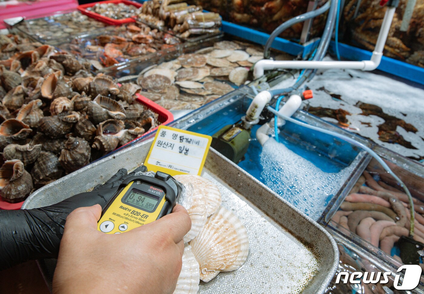 서울 동작구 노량진수산시장에서 시장관리부 직원이 일본산 수산물에 대한 방사능 검사를 하고 있다. (자료사진) 2023.8.21/뉴스1 ⓒ News1 이재명 기자