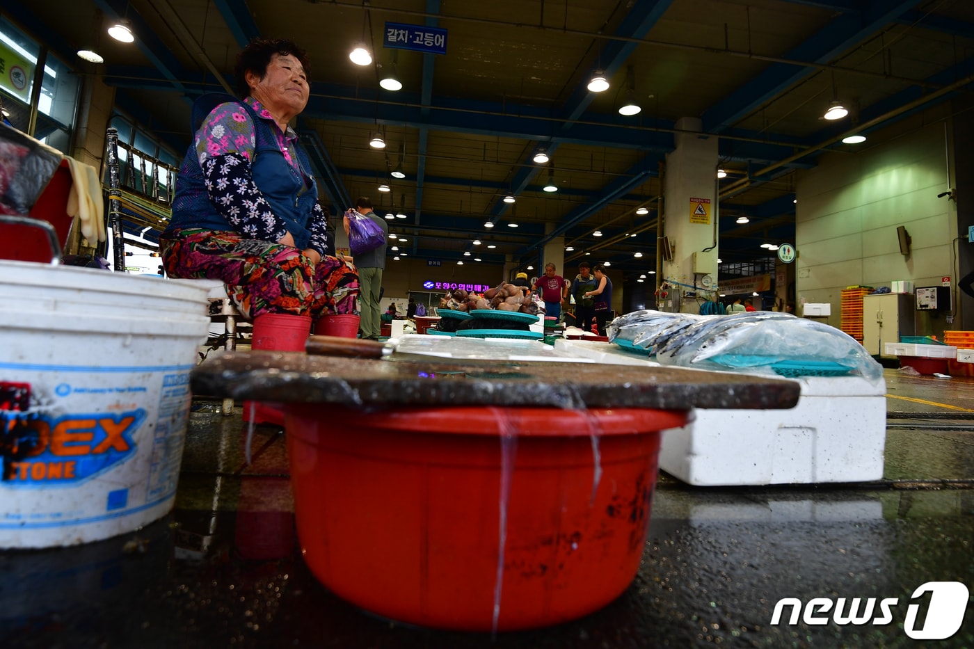 일본 정부가 원전 오염수 방류 결정을 내린 24일 오전 경북 동해안 최대 어시장인 포항죽도어시장이 평소와 달리 손님들의 발길이 줄어든 모습이다. .2023.8.24/뉴스1 ⓒ News1 최창호 기자