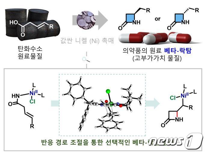 니켈 촉매를 활용한 항생제 원료물질 카이랄 베타-락탐 합성.&#40;IBS 제공&#41;/뉴스1