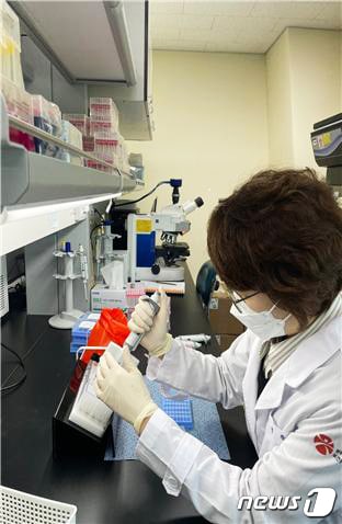 광주시보건환경연구원 파라인플루엔자 바이러스 검사.(광주시 제공)/뉴스1 