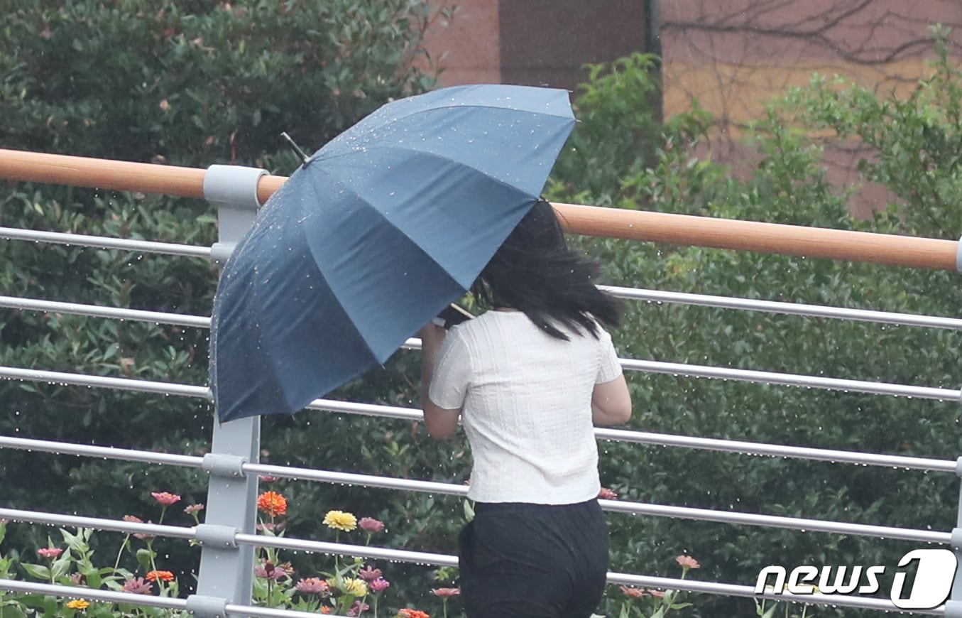 자료사진.ⓒ 뉴스1