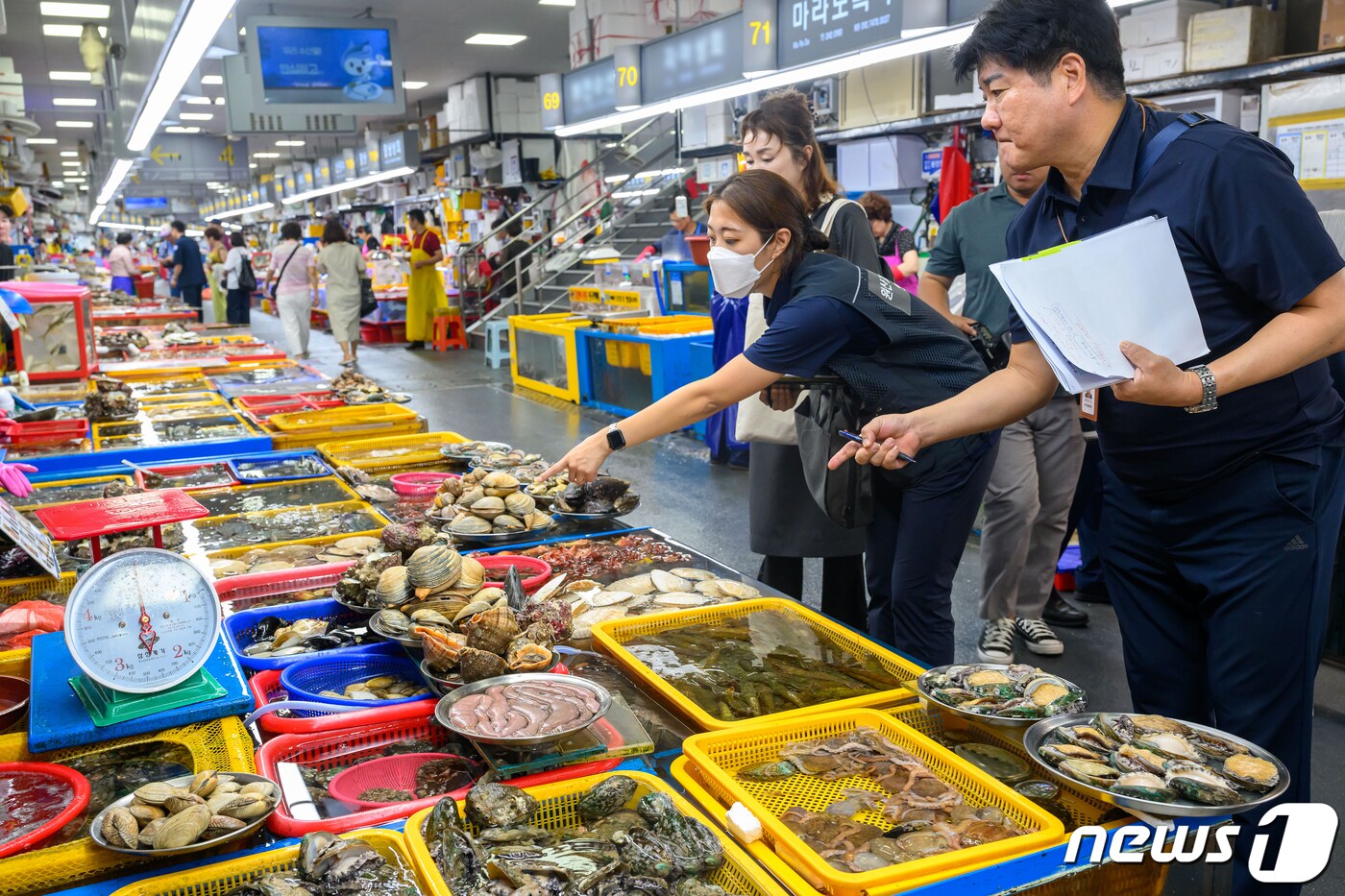 13일 오후 부산 중구 자갈치시장에서 합동점검반이 수입 수산물 원산지 표시 특별점검을 하고 있다. 2023.9.13/뉴스1 ⓒ News1 윤일지 기자