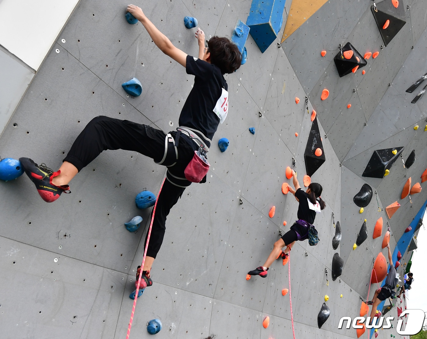 17일 경북 포항시 남구 국제클라이밍센터에서 열린 '2023 제4회 포항전국청소년스포츠클라이밍대회' 초등학교 저학년부 결승전에 출전한 선수들이 출발신호와 함께 인공암벽을 타고 있다.2023.9.17/뉴스1 ⓒ News1 최창호 기자