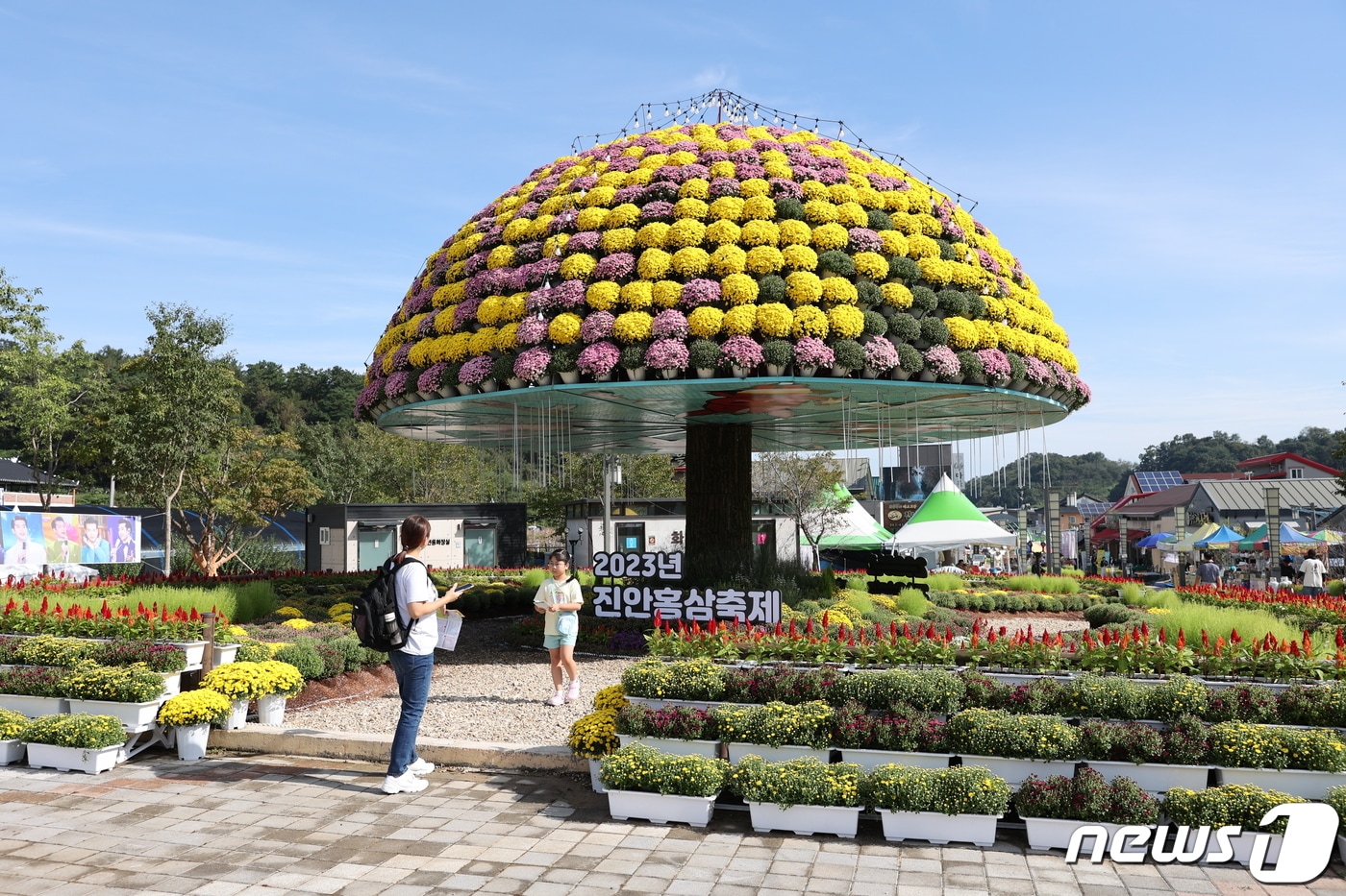 23일 전북 진안군에서 홍삼축제가 열리고 있는 가운데 관광객들이 축제장에 설치된 국화꽃 앞에서 기념촬영을 하고 있다.(진안군제공)2023.9.23/뉴스1 ⓒ News1 김동규 기자