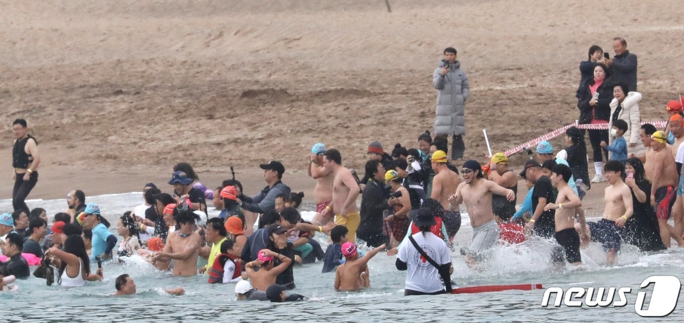 서귀포국제팽귄수영대회(자료사진)/뉴스1