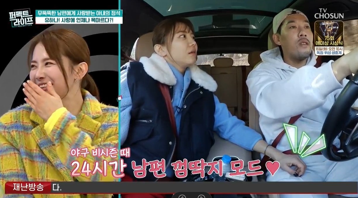 (TV조선 '퍼펙트 라이프')