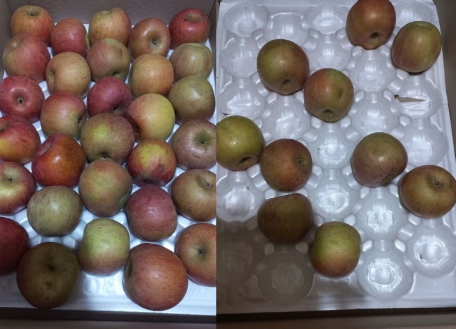 (자영업자·소상공인 커뮤니티 '아프니까 사장이다' 갈무리) /뉴스1