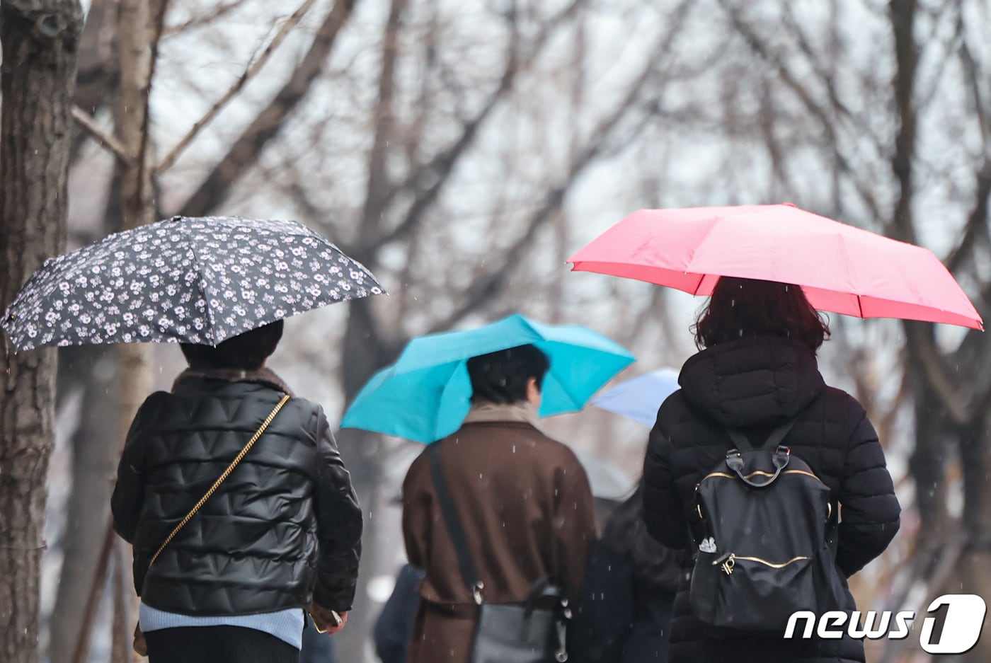 겨울비가 내리는 날 우산 쓴 시민들이 한 길을 거닐고 있다. /뉴스1 ⓒ News1 김도우 기자