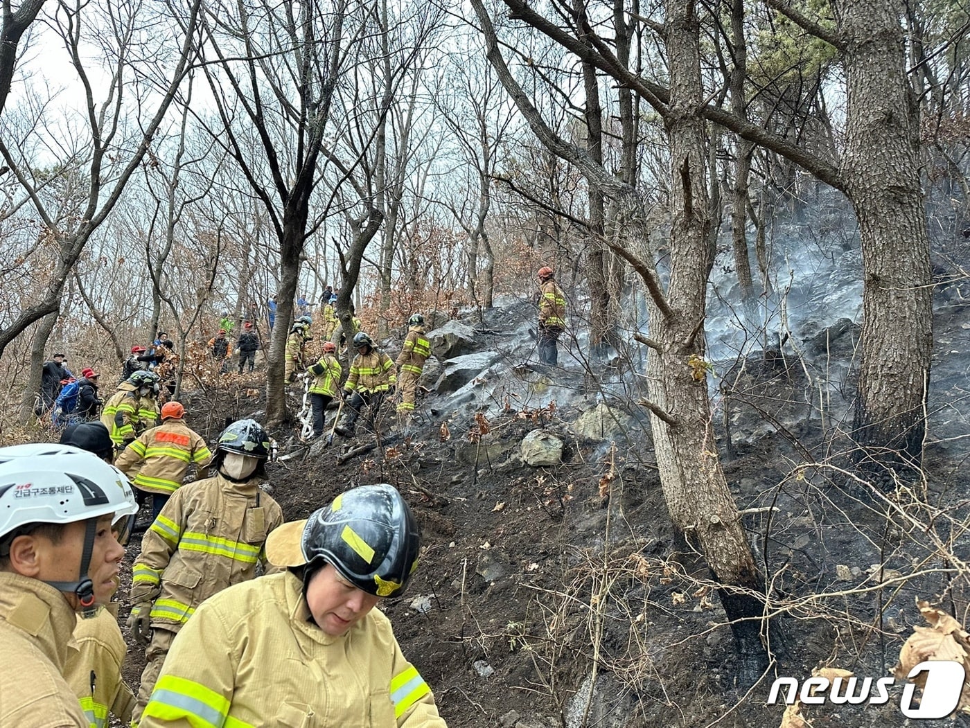 소방이 부산 서구 암남동 천마산에서 발생한 화재를 진화 중이다. &#40;부산소방재난본부 제공&#41;