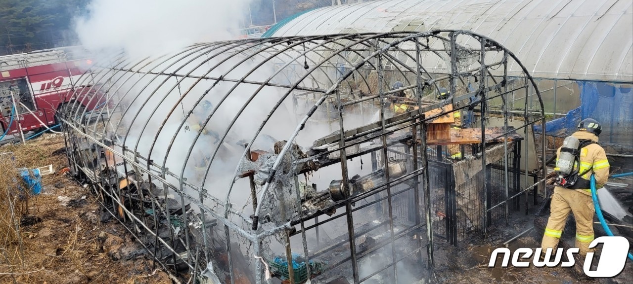 비닐하우스 화재 사진(사진은 기사 내용과 무관함) 2023.1.2 ⓒ 뉴스1 박지현 기자
