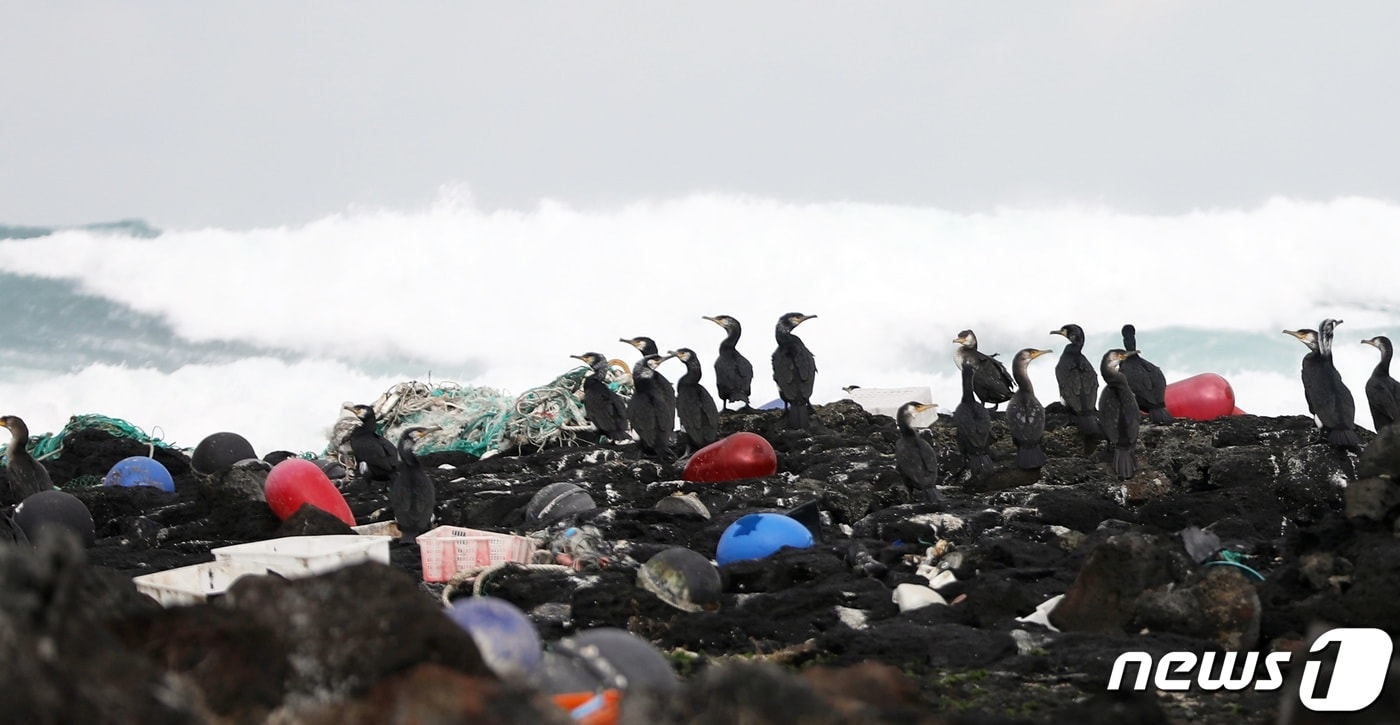 자료사진. ⓒ News1 고동명 기자