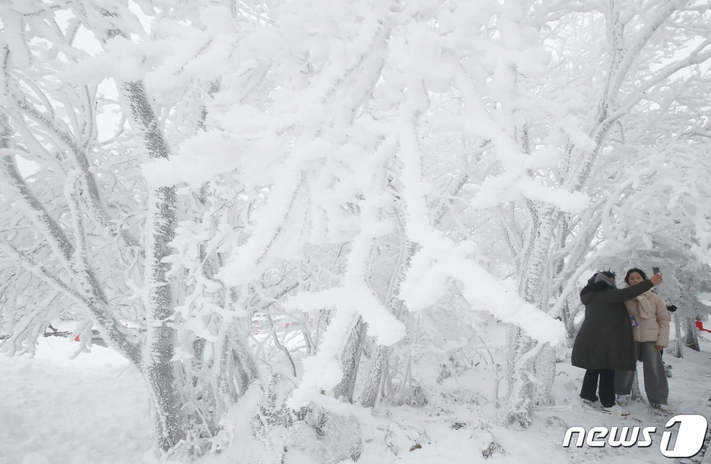 제주 산지에 내려진 대설특보가 해제된 25일 오전 한라산국립공원 1100고지휴게소에서 관광객들이 설경을 감상하고 있다. 2024.1.25/뉴스1 ⓒ News1 오현지 기자