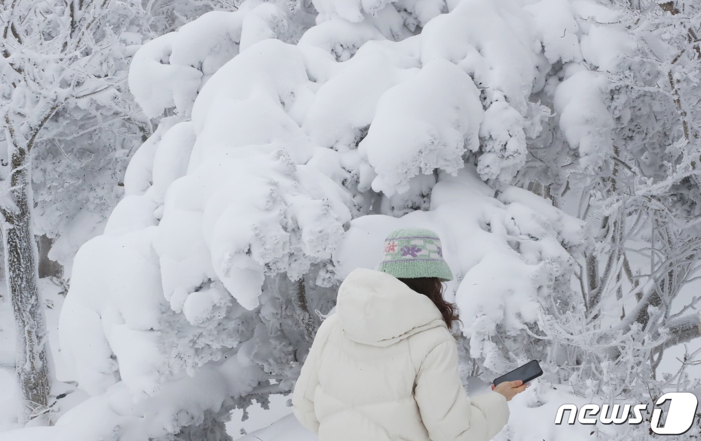 지난 겨울 한라산국립공원 1100고지휴게소에서 관광객들이 설경을 감상하는 모습./뉴스1