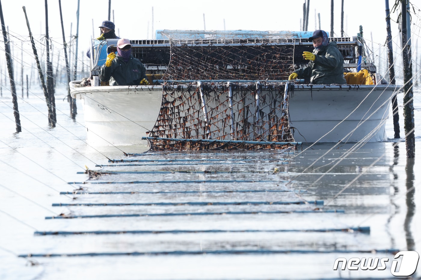 (사진은 기사 내용과 무관함) / 뉴스1 ⓒ News1 김태성 기자