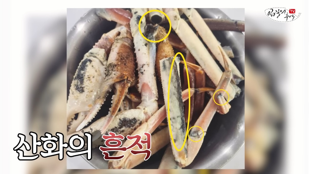 ('입질의 추억' 갈무리)